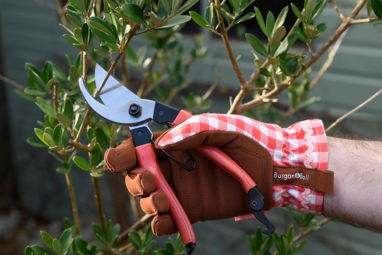 Garden Essentials - Simply Rye