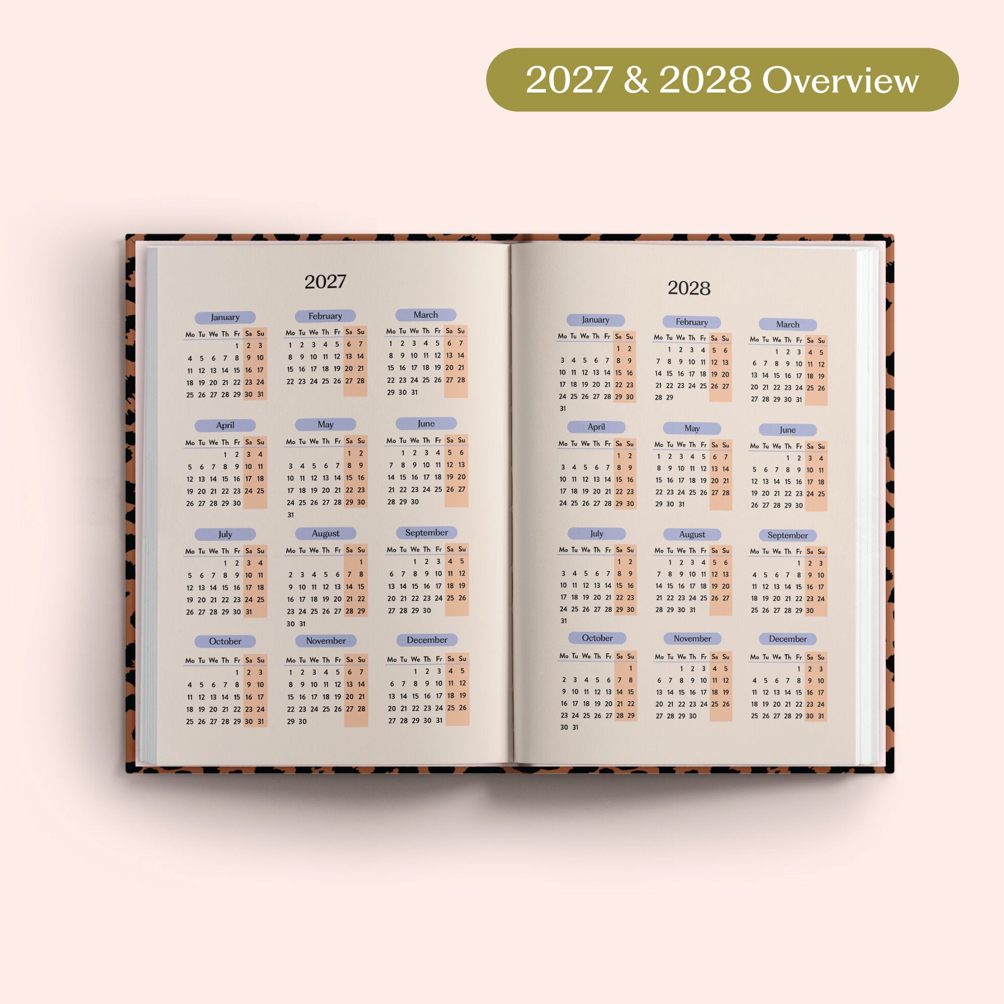 2027 Diary - Leopard