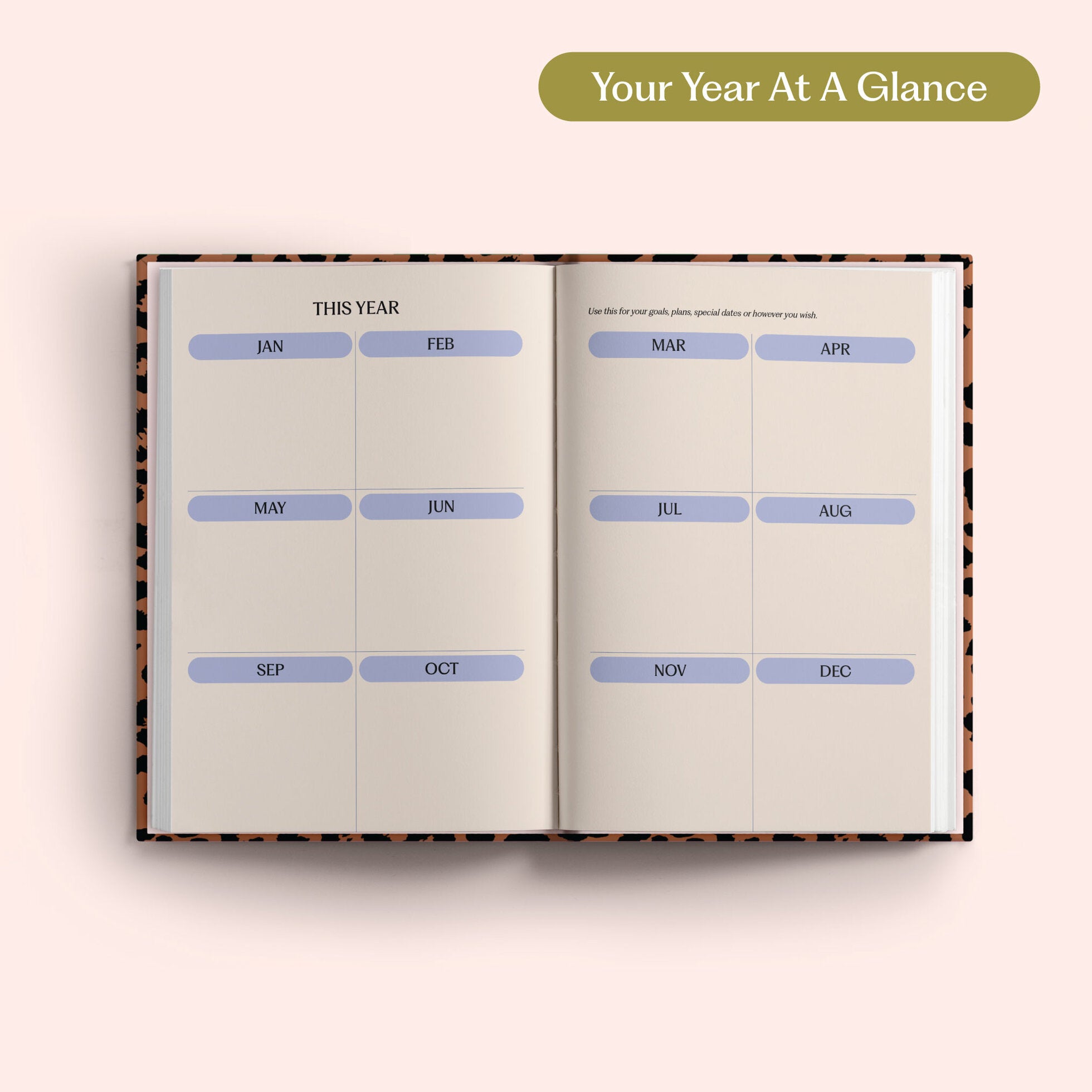 2027 Diary - Leopard