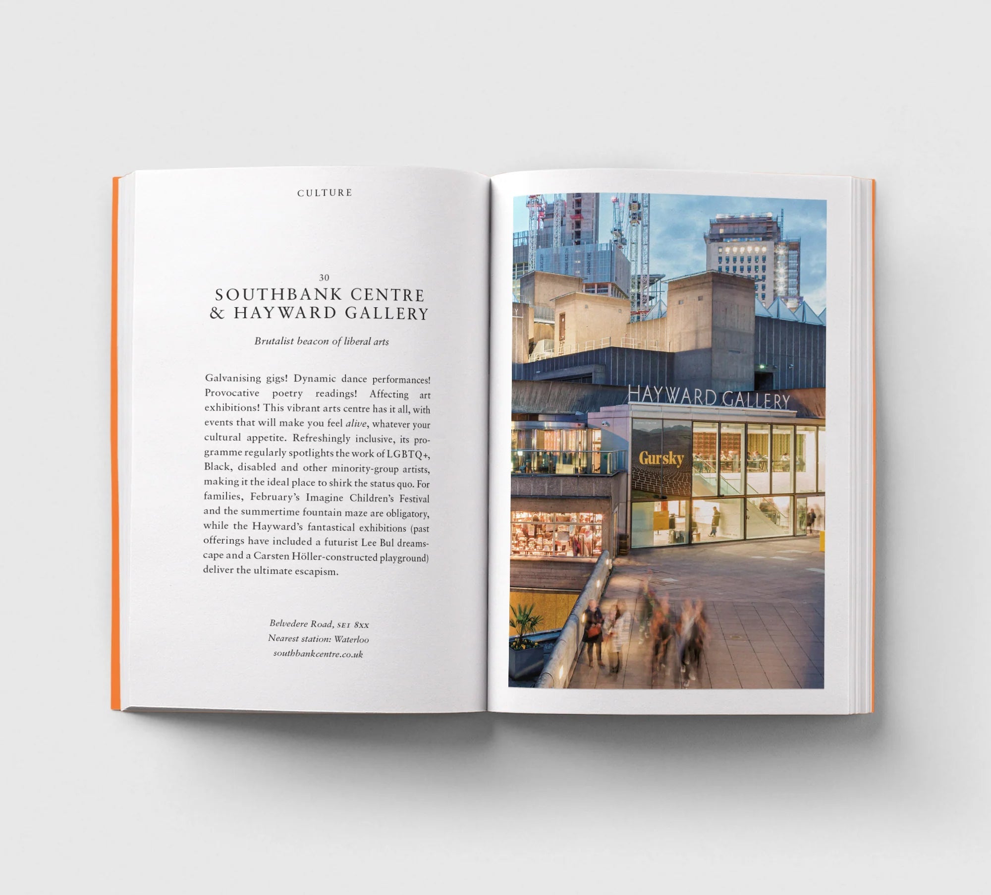 An Opinionated Guide to London Book - Simply Rye