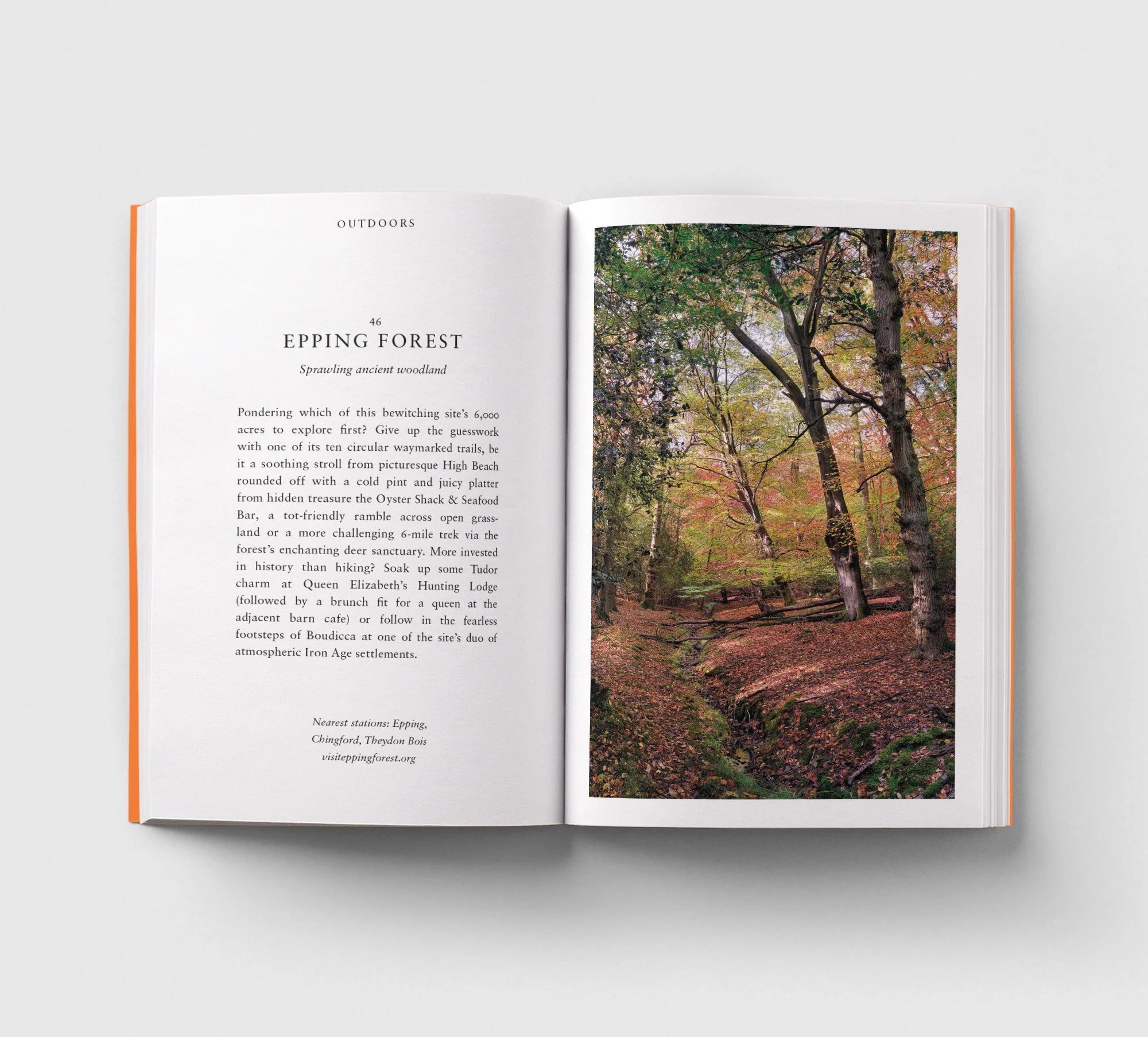 An Opinionated Guide to London Book - Simply Rye