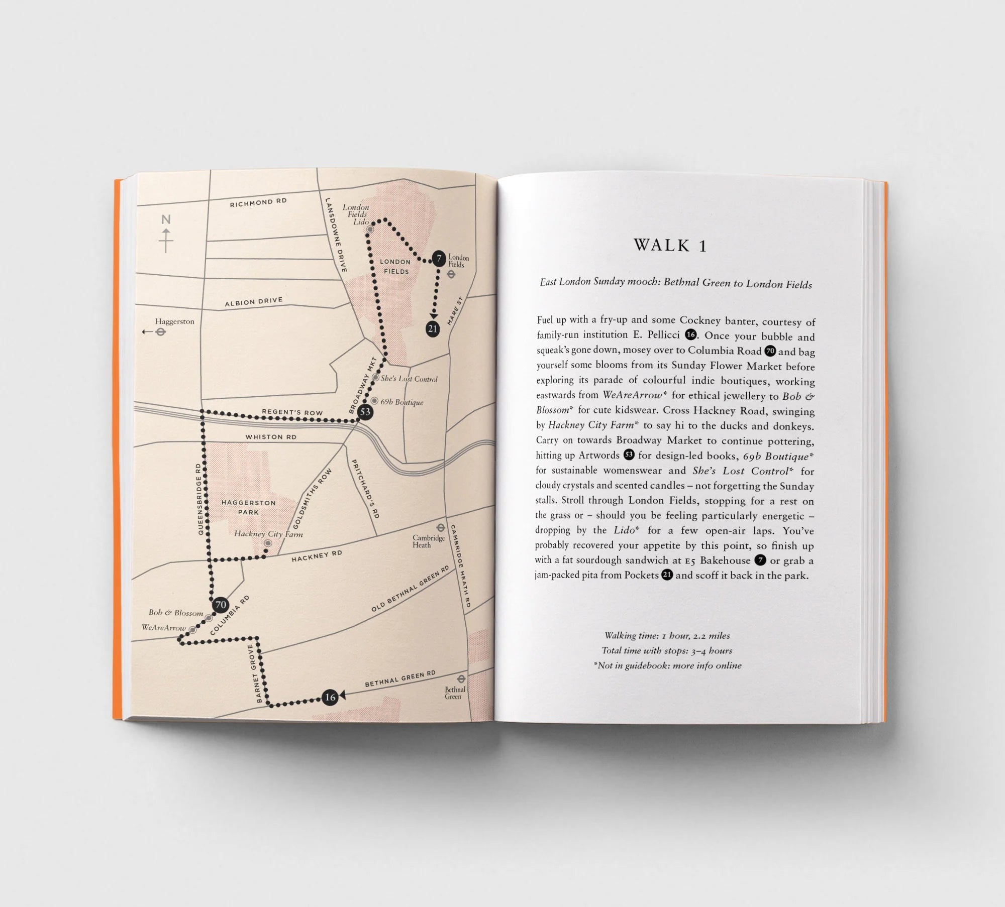 An Opinionated Guide to London Book - Simply Rye