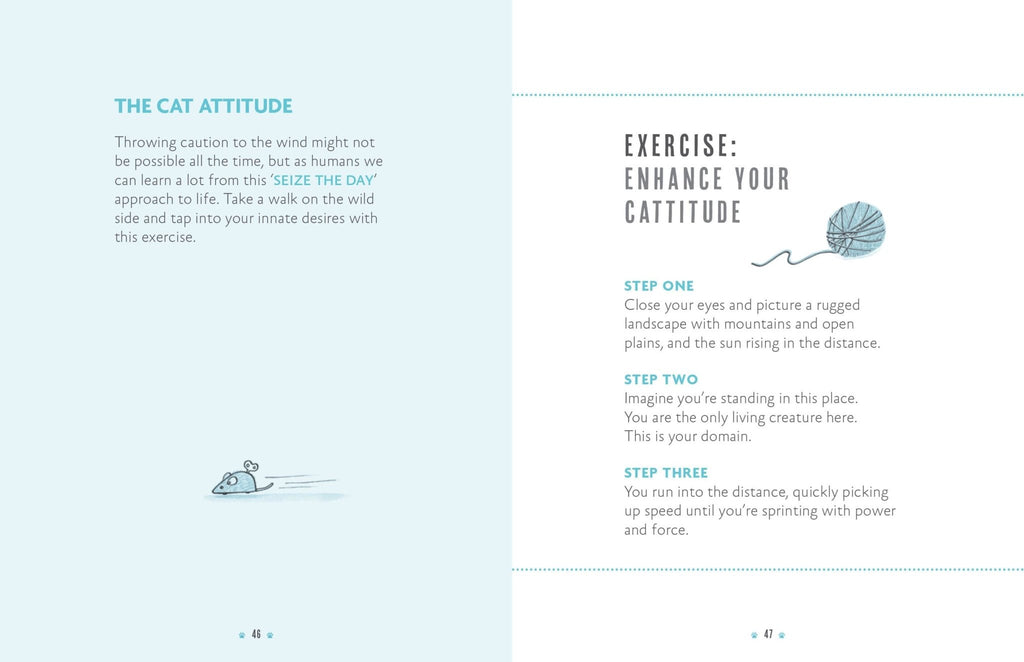 Be More Cat Book - Simply Rye