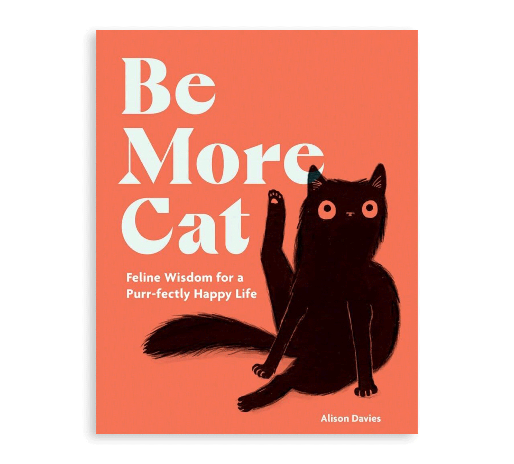 Be More Cat Book - Simply Rye