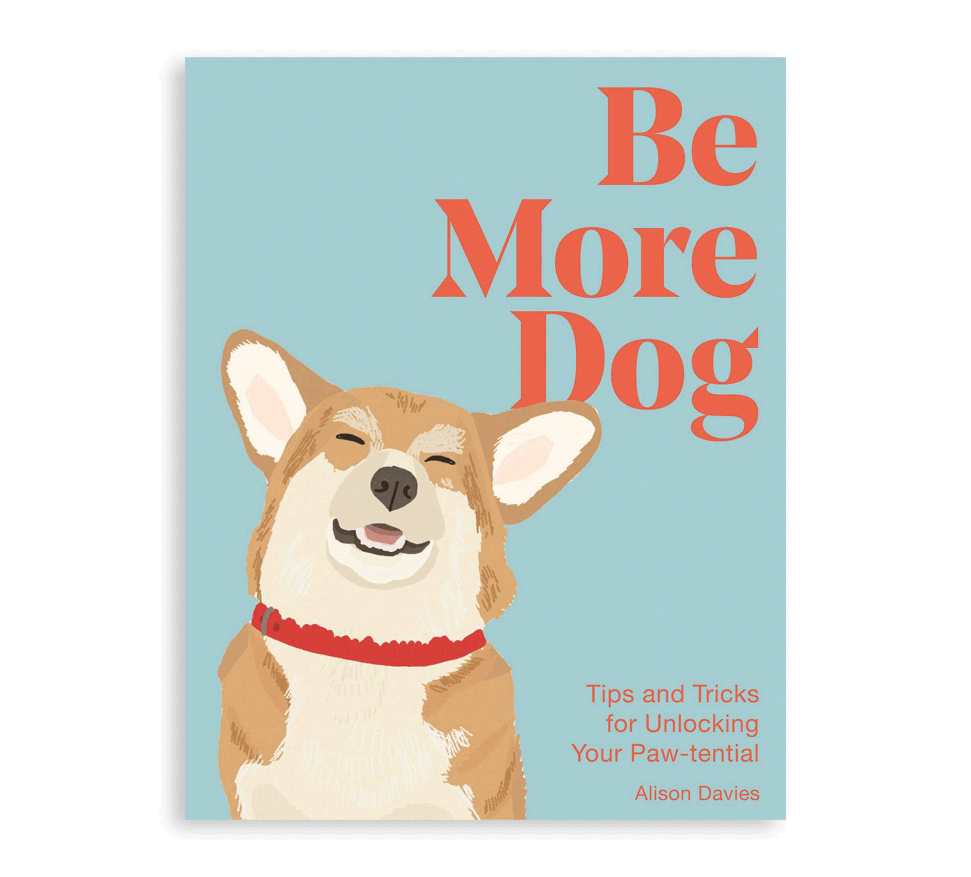 Be More Dog Book - Simply Rye