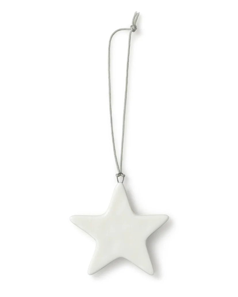 Chalk White Star Decoration - Simply Rye