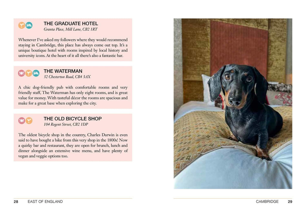 Follow My Lead Book - Simply Rye