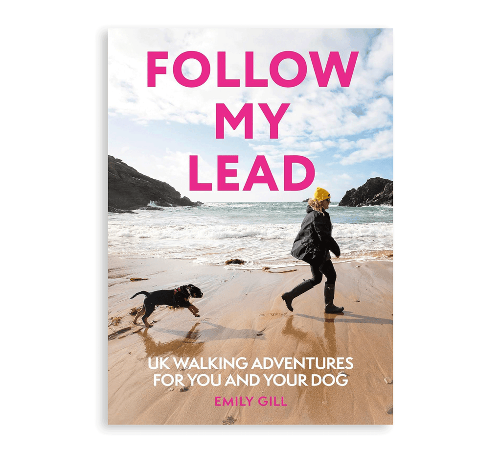 Follow My Lead Book - Simply Rye