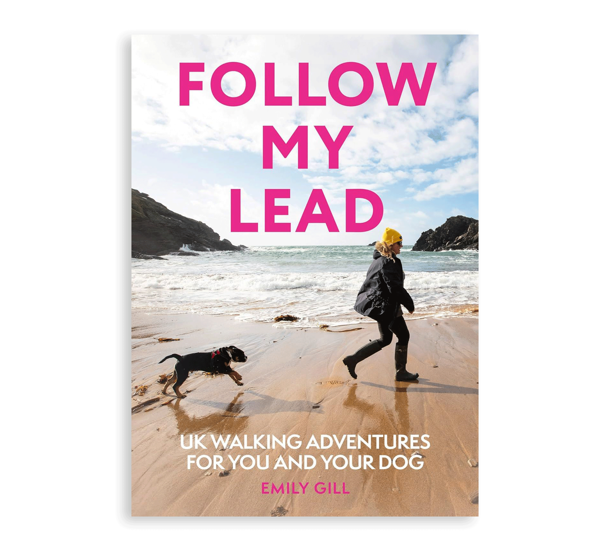 Follow My Lead Book - Simply Rye