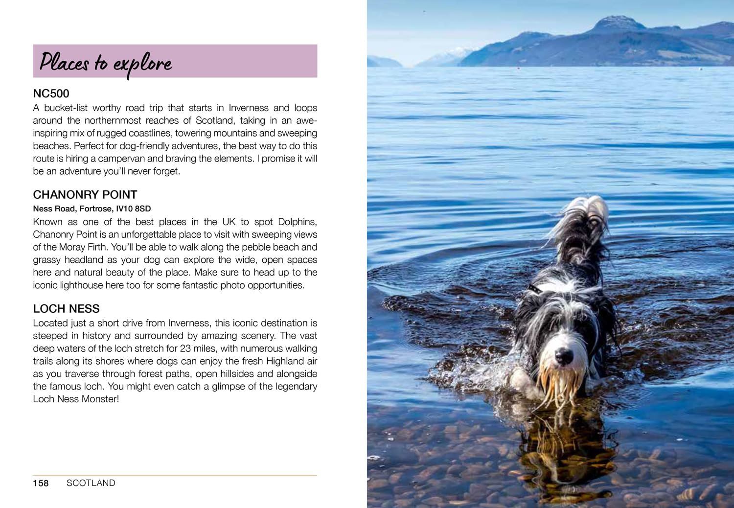 Follow My Lead Book - Simply Rye