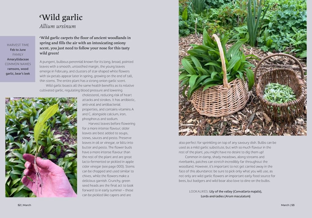 Foragers Almanac Book - Simply Rye