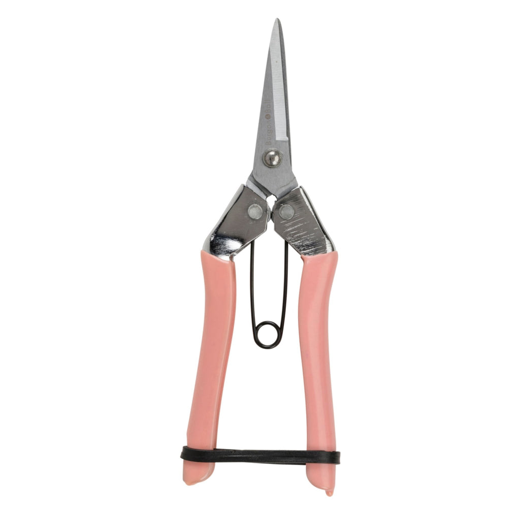 Fruit & Flower Snips - Blush - Simply Rye