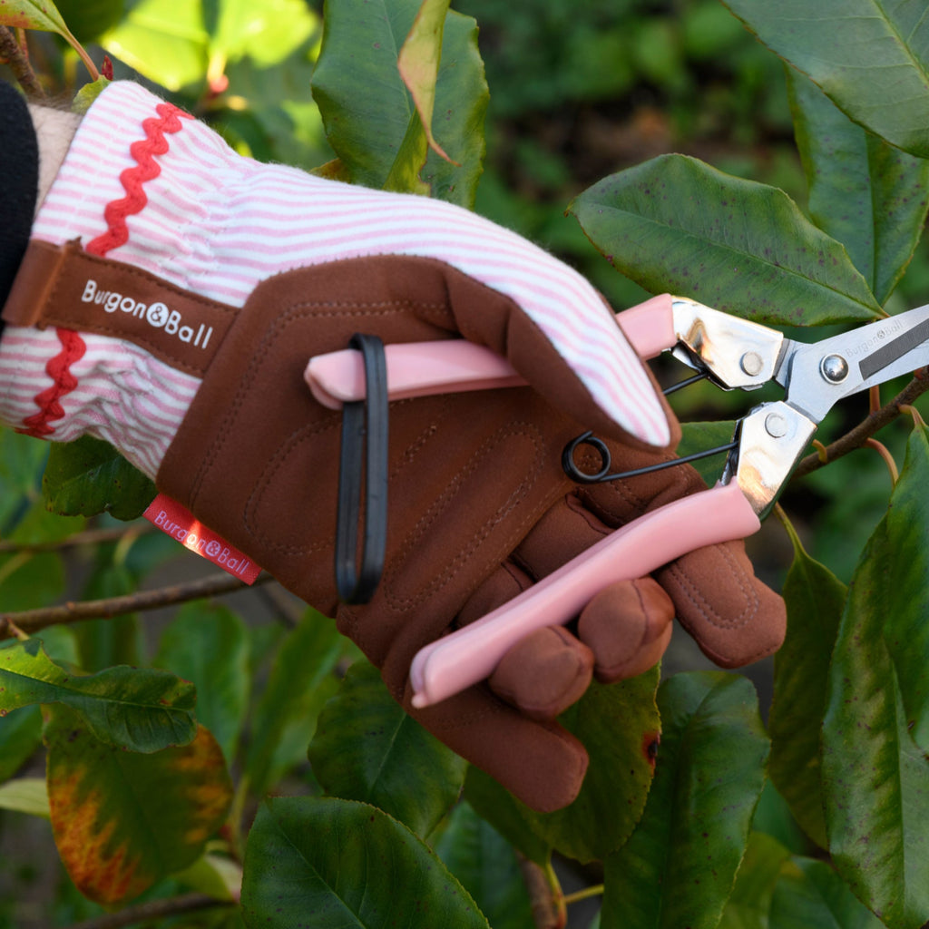 Fruit & Flower Snips - Blush - Simply Rye