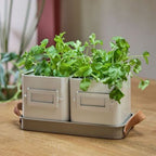 Herb Pots - Mushroom Grey - Simply Rye
