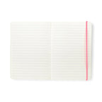 Hijinx Notebook - Master Plan - Simply Rye