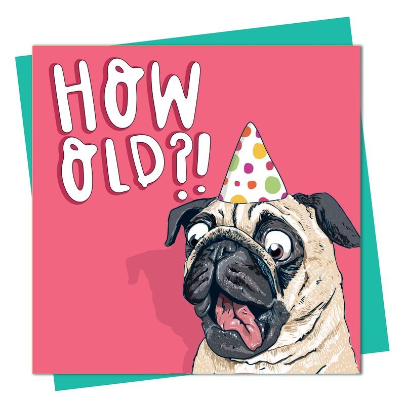 ‘How Old?!’ Pug Card - Simply Rye