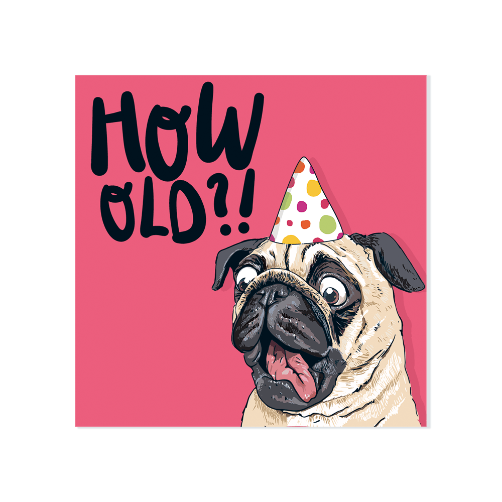 ‘How Old?!’ Pug Card - Simply Rye