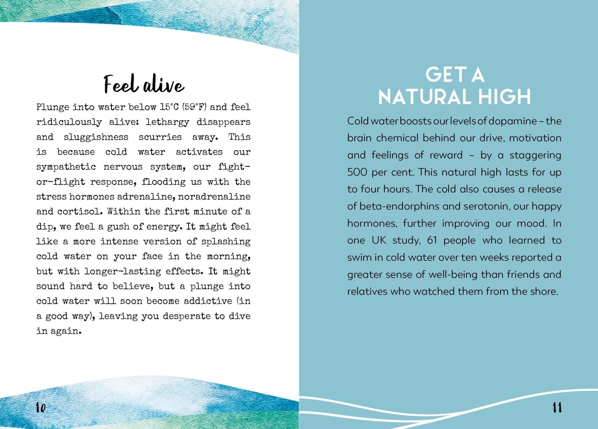 Little Book for Wild Swimmers - Simply Rye