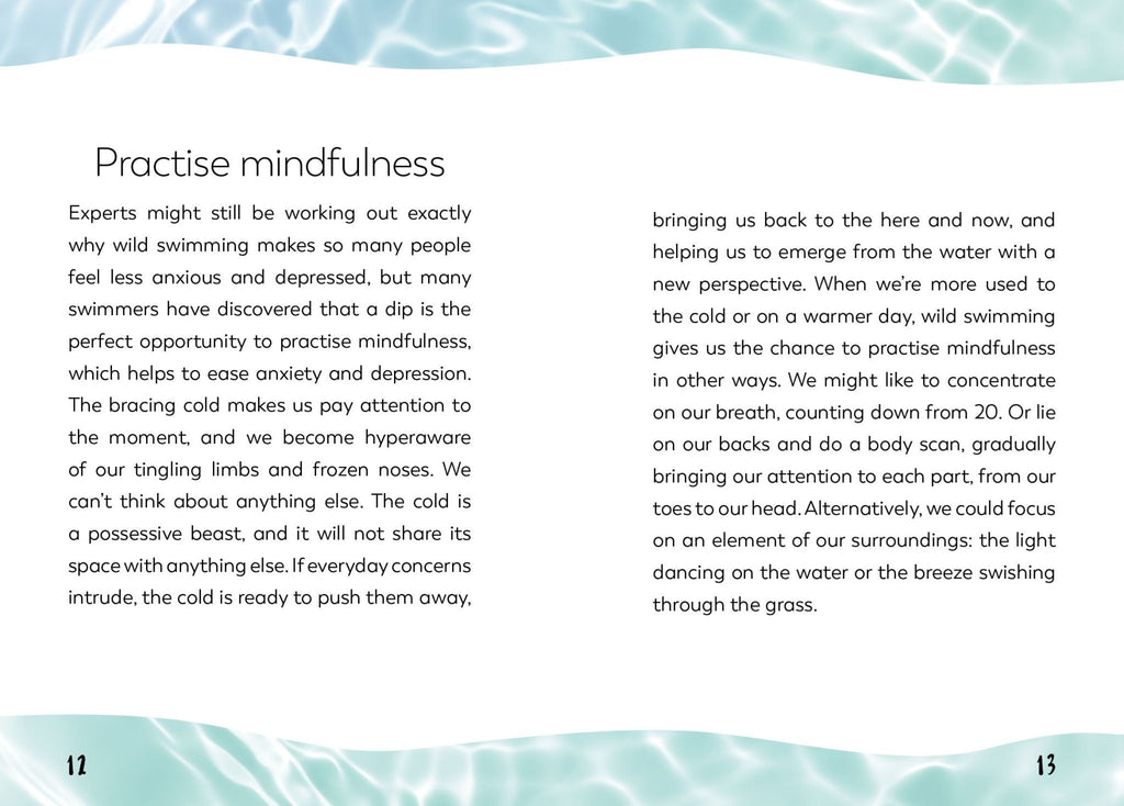 Little Book for Wild Swimmers - Simply Rye