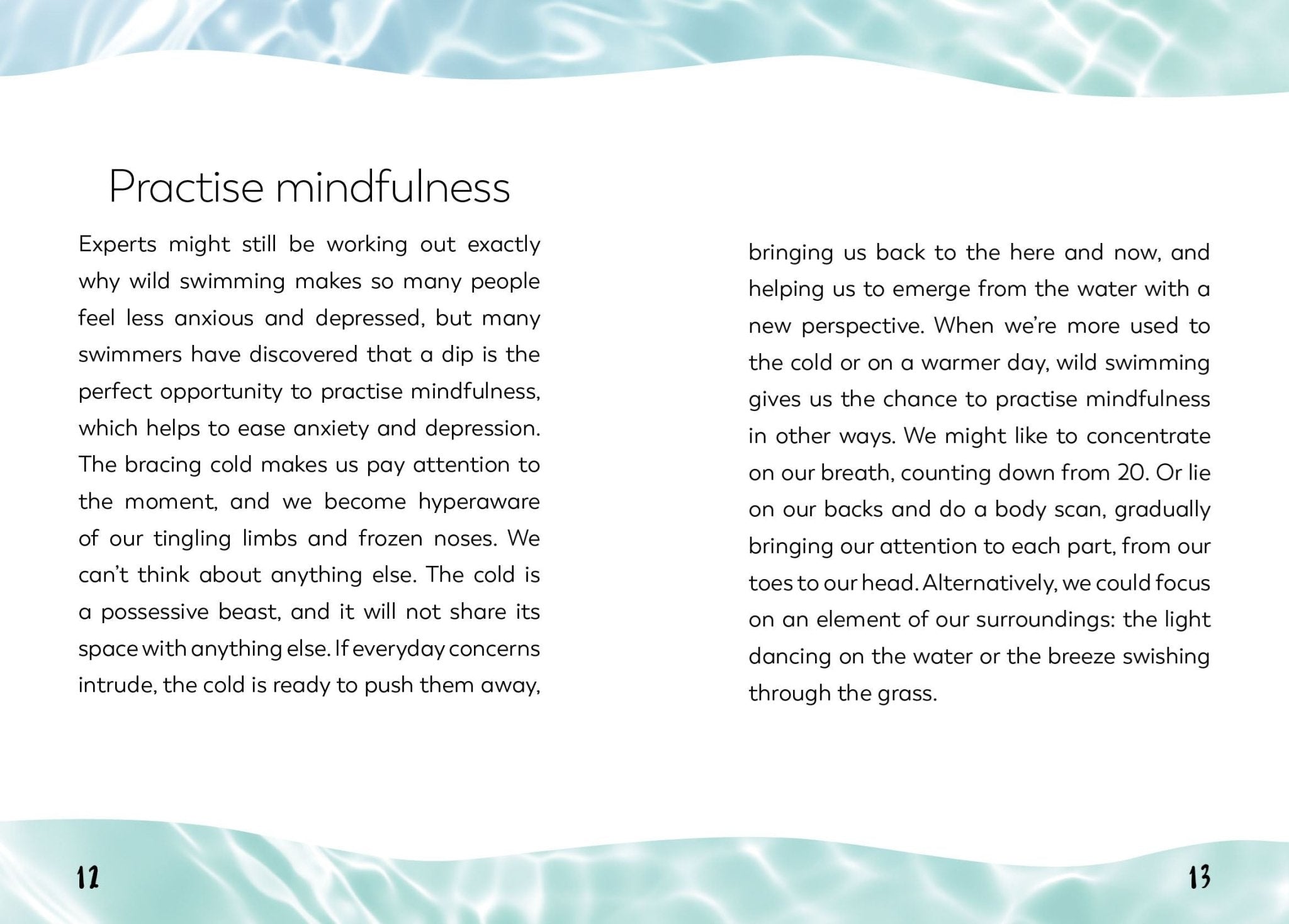 Little Book for Wild Swimmers - Simply Rye