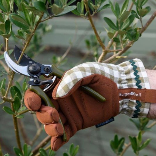 Mini Secateurs - Olive - Simply Rye