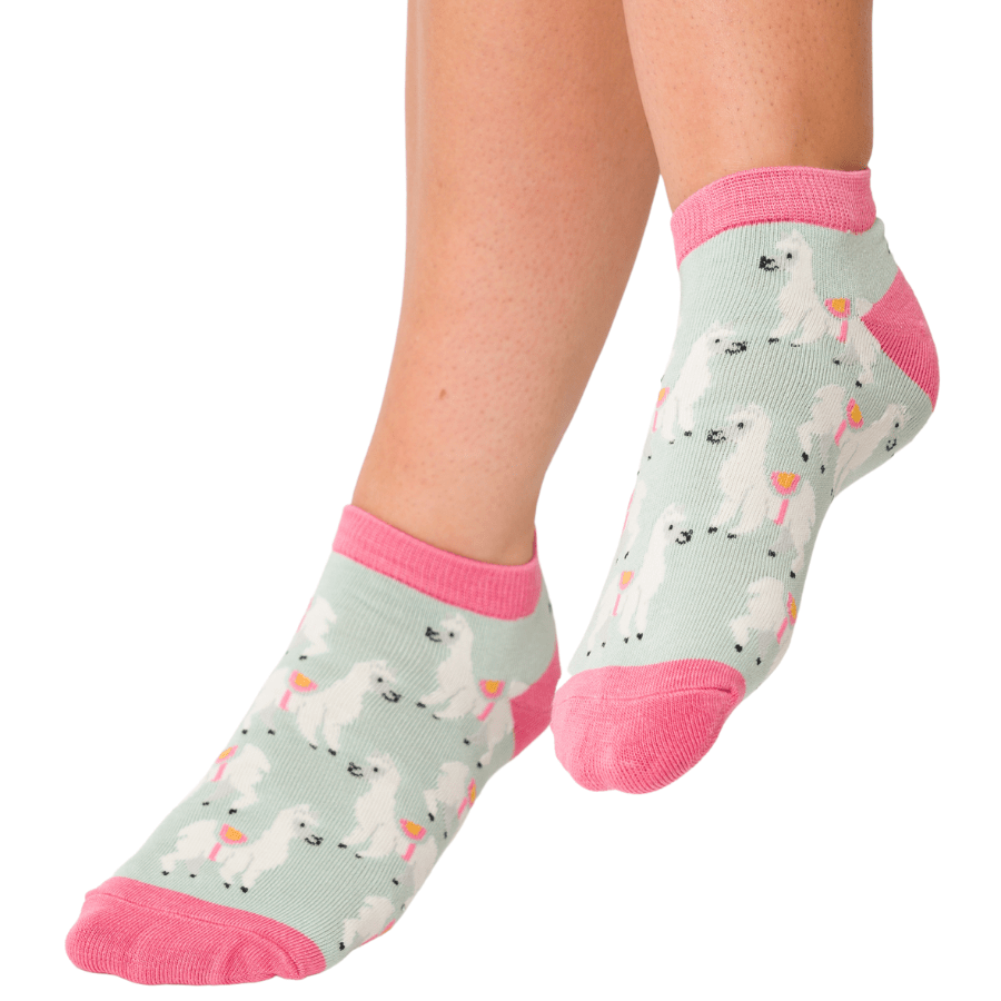 Miss Sparrow Llamas Trainer Socks - Simply Rye