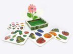 PlayPress Very Hungry Caterpillar Garden Playset - Simply Rye