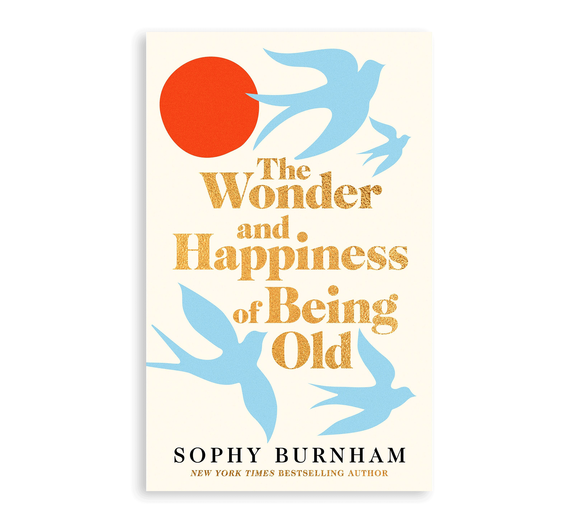 The Wonder and Happiness of Being Old Book - Simply Rye