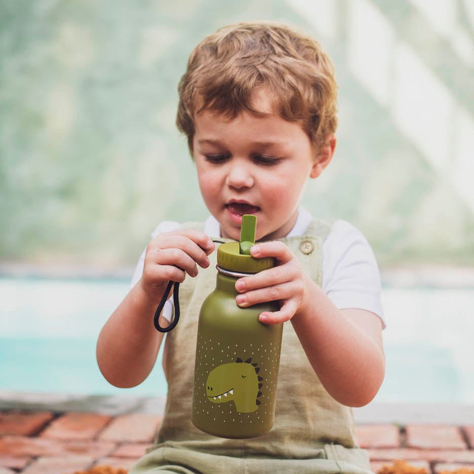 Trixie Water Bottle - Dino 350ml - Simply Rye